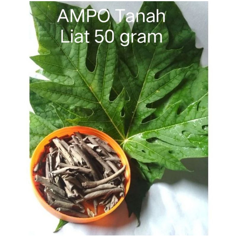 

AMPO Tanah Liat Sangrai 50 gram