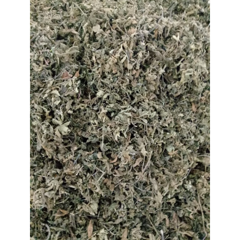

Daun Cincau Hitam/Janggelan