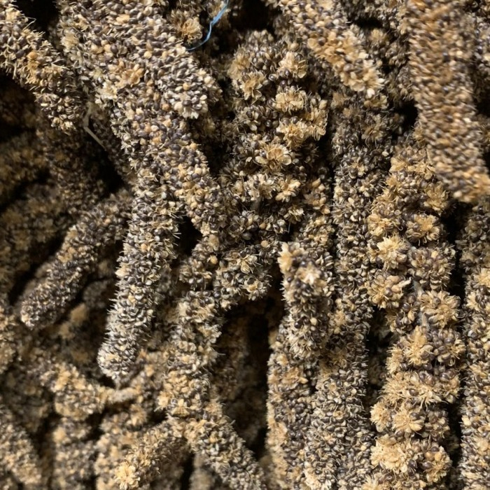 JEWAWUT TANGKAI HITAM 1 KG JEWAWUT GANTUNG MAKANAN FINCH PARKIT LB DLL