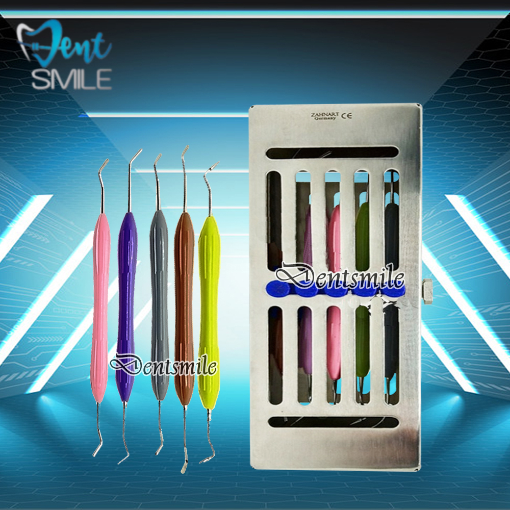 Windsor Style Restorative Kit / Instrument Style Italiano