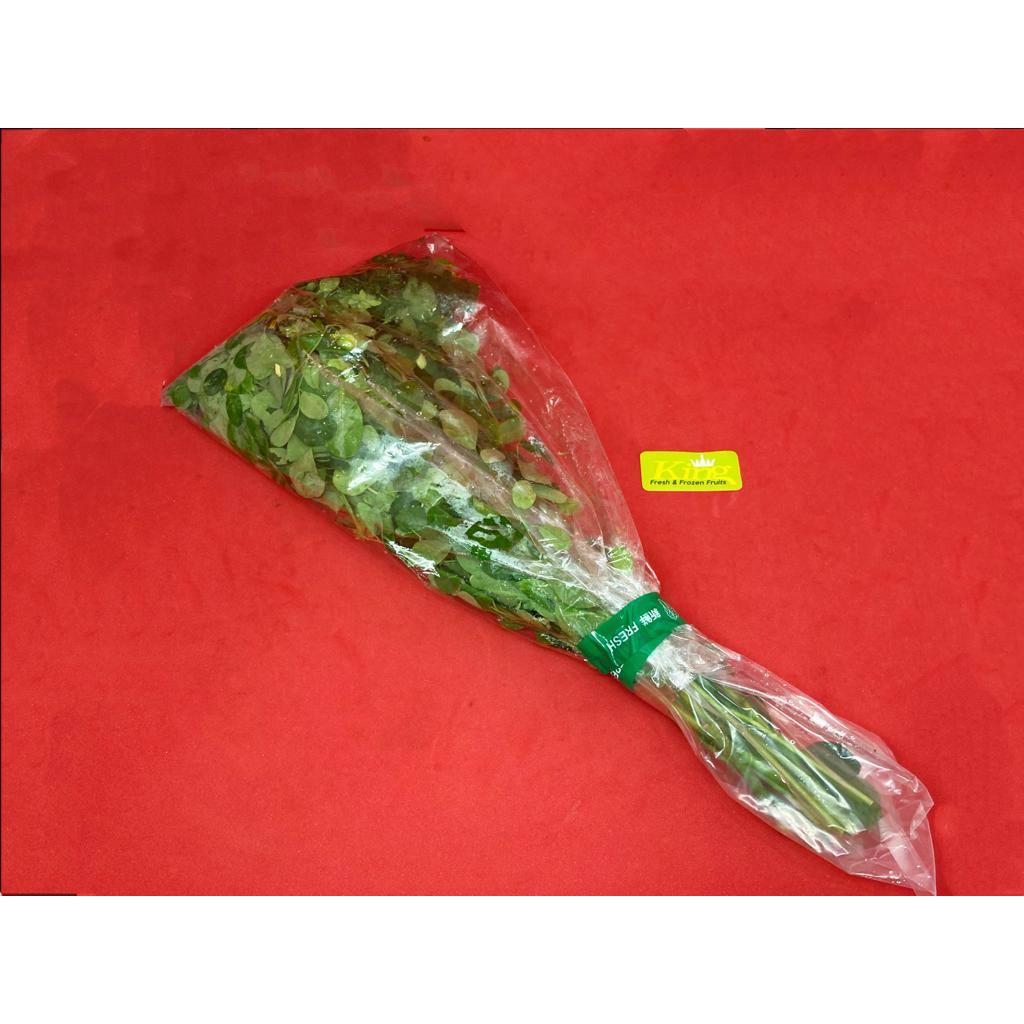 

Daun kelor, daun kelor segar, daun kelor fresh
