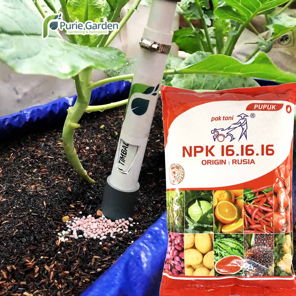 Pupuk NPK Sayuran &amp; Buah Pak Tani 16 16 16 Merah Ori Rusia Kemasan Pabrik 1 Kg PG KDR