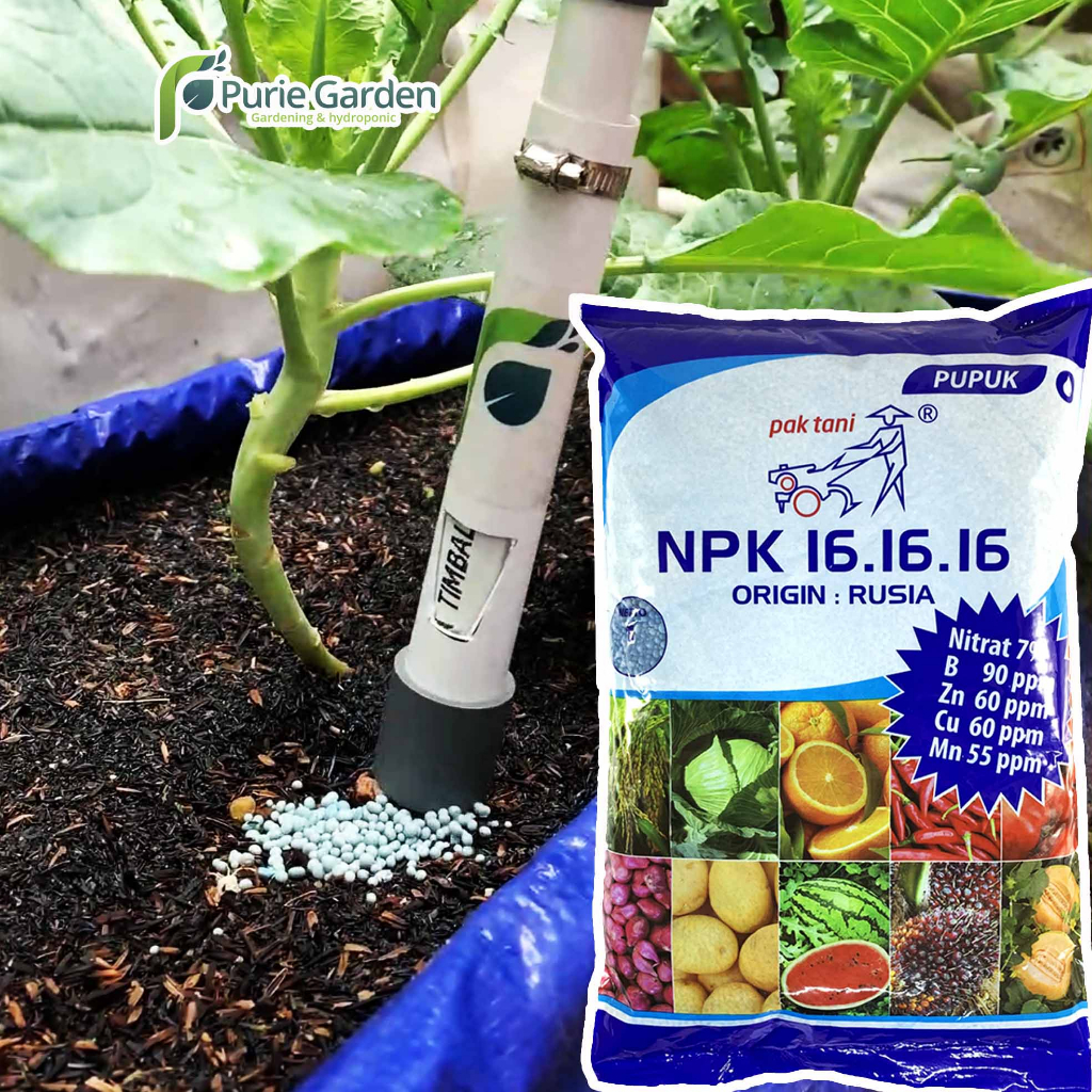 Pupuk NPK Sayuran &amp; Buah Pak Tani 16 16 16 Ori Rusia Kemasan Pabrik 1 Kg PG SBY