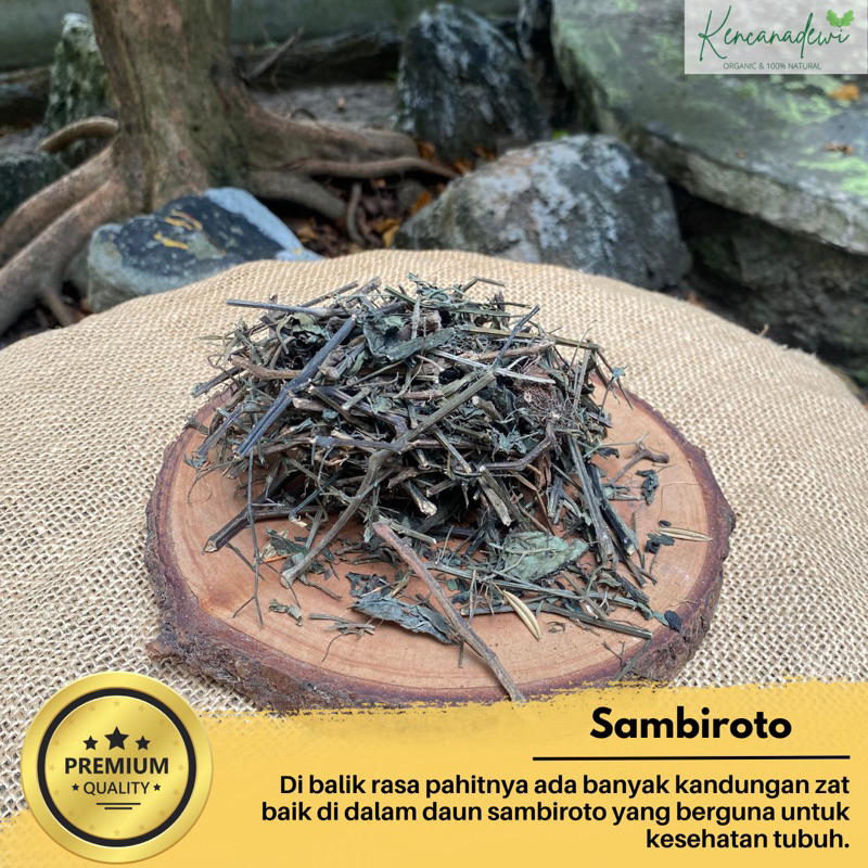 

Daun sambiloto-sambiroto kering 100gram asli