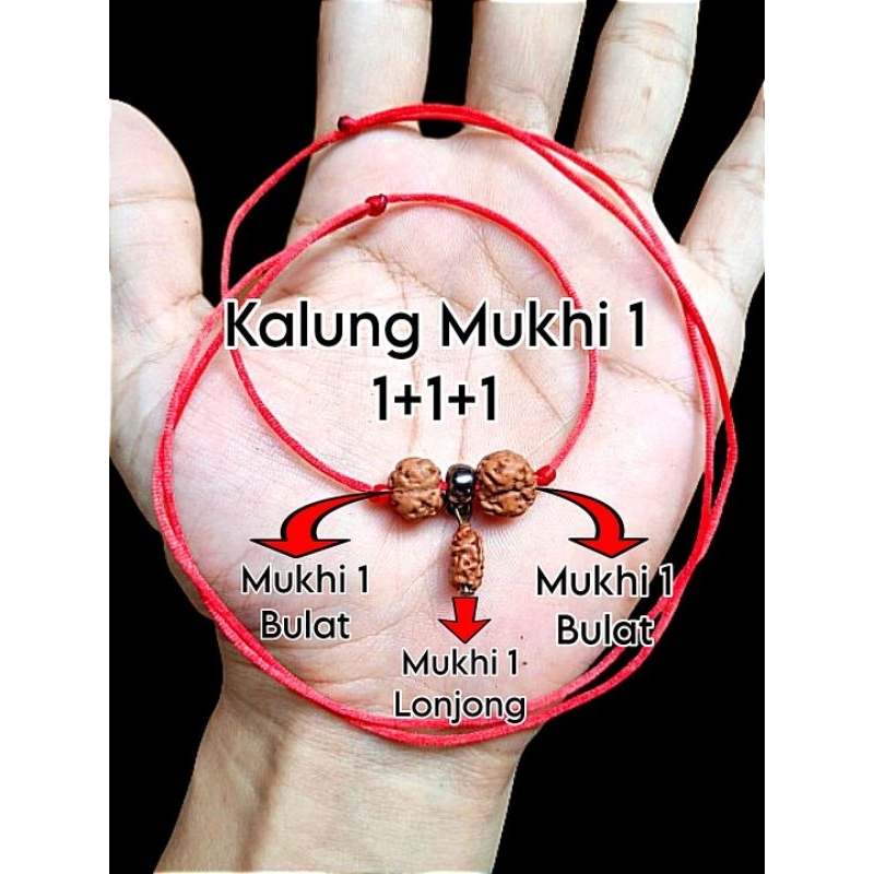 Gelang Kalung Rudraksha Jenitri Mukhi 1 Garis 1
