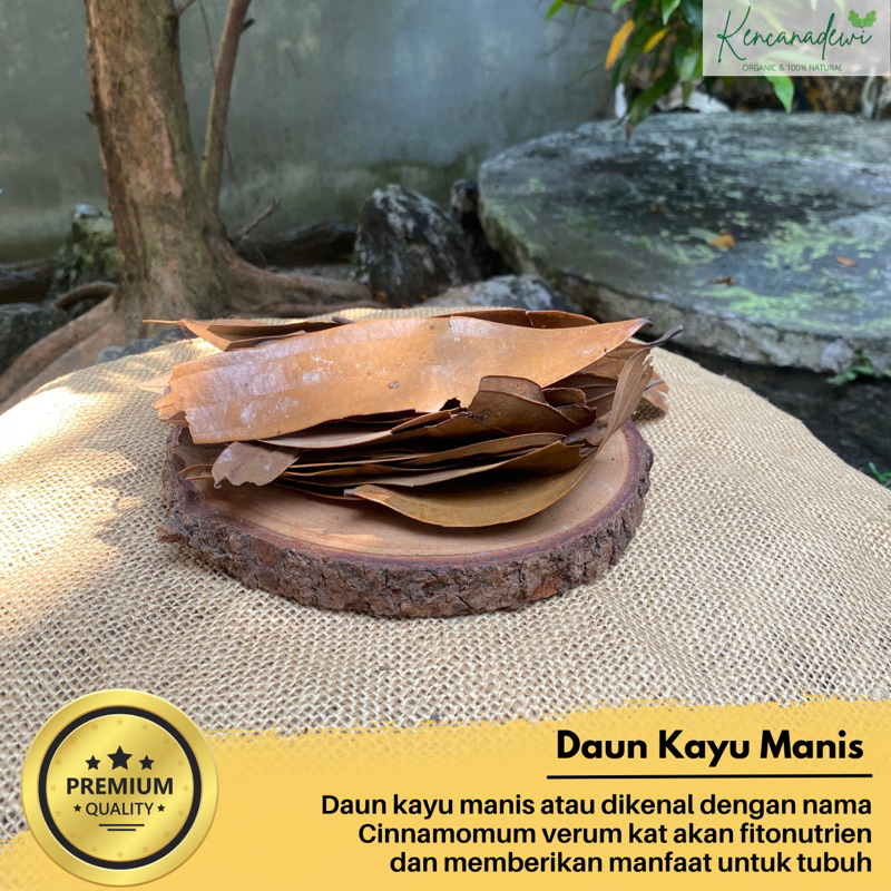 

Daun kayu manis kering- Cinnamomun burmanii 500 gram-1kg ORIGINAL HERBAL