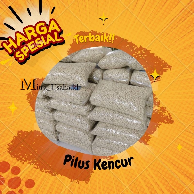 

Pilus Kencur 500gr