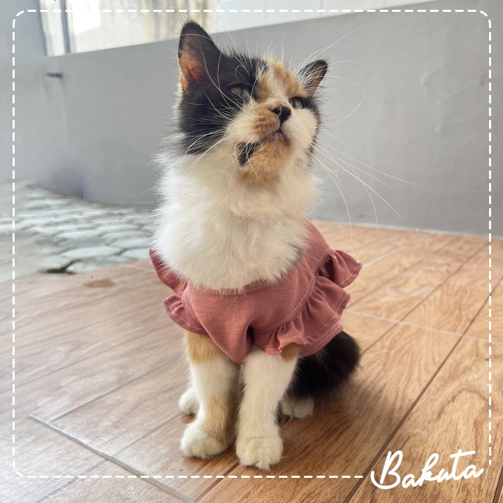 Baju Kucing Model Blouse Puffy Pastel untuk kucing dan anjing Kecil model Casual | Baju Anabul Bakuta!