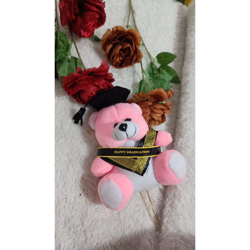Boneka Wisuda Selempang Nama