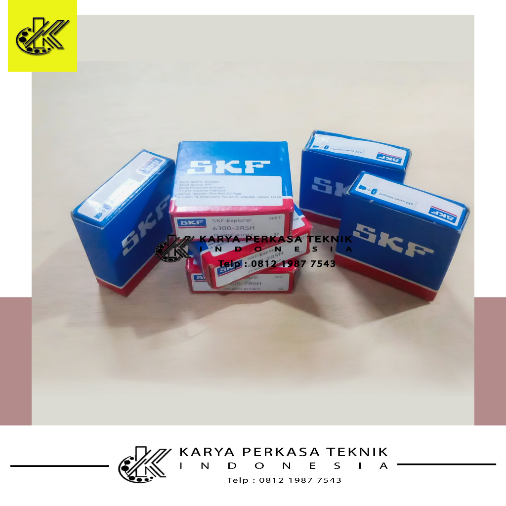 BEARING SKF 6300-2RS1 | BEARING SKF 6300 2RS1