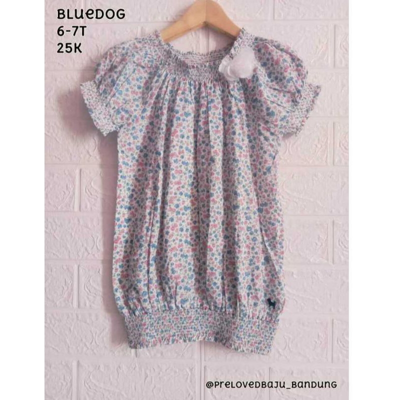 Atasan Branded Bluedog 6-7t