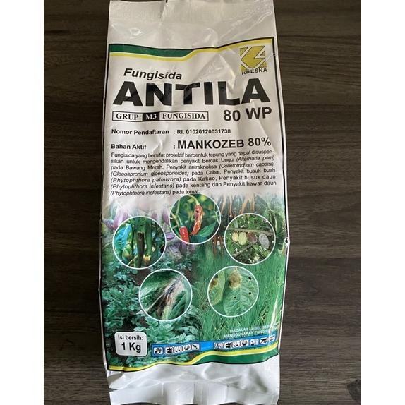 antila 80wp 500gr - 1kg