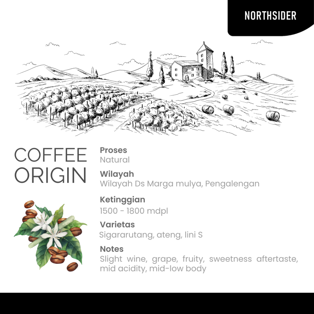 BIJI KOPI ARABIKA JAVA MALABAR NATURAL - 1KG MANUAL BREW NORTHSIDER COFFEE