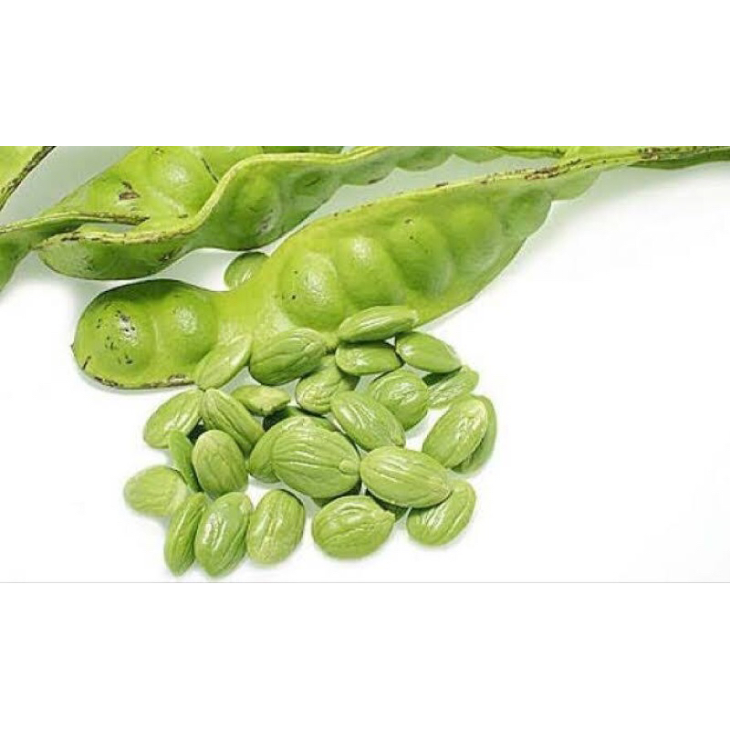 

Pete kupas 250gr pilihan no ulat ulat