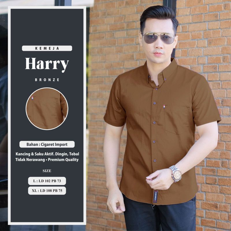 HARRY KEMEJA PRIA