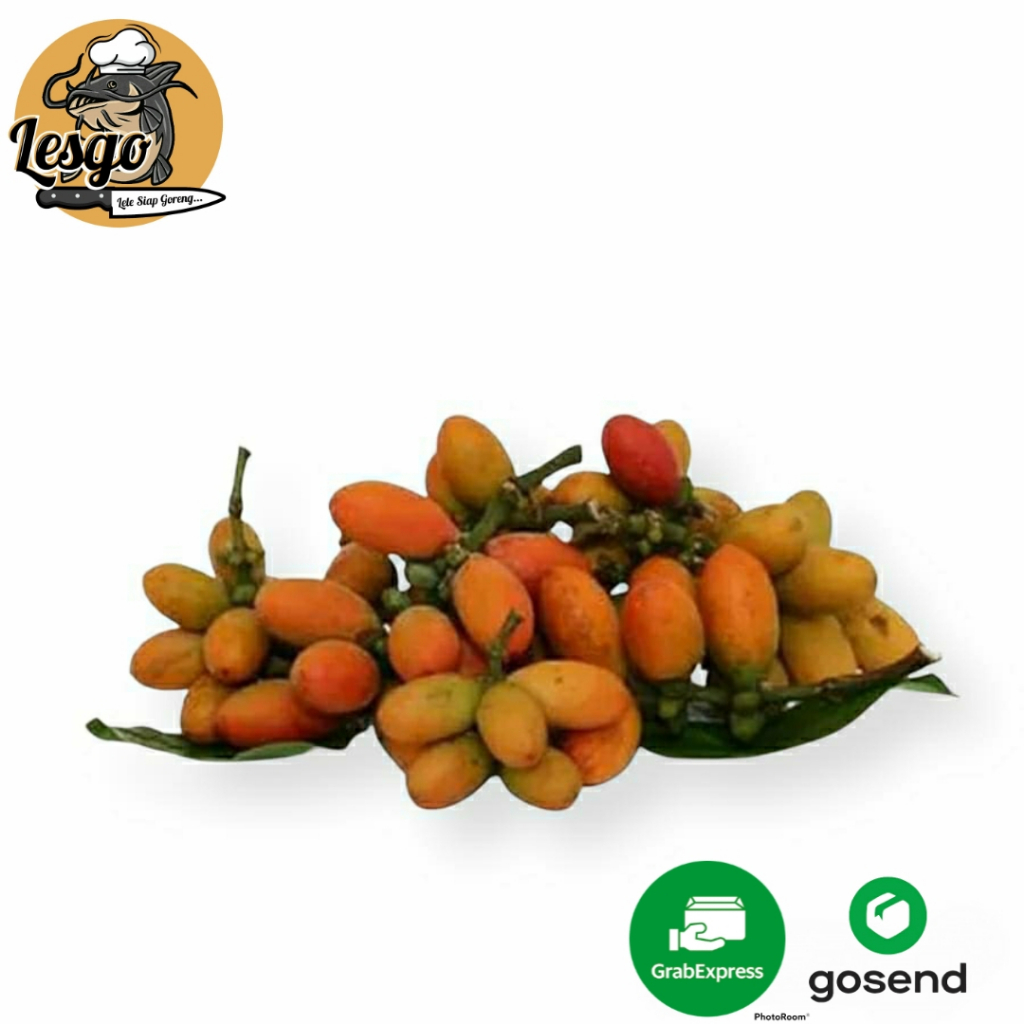 

Tangkil / Buah Melinjo - [250gr] Sayuran Segar Lesgo99
