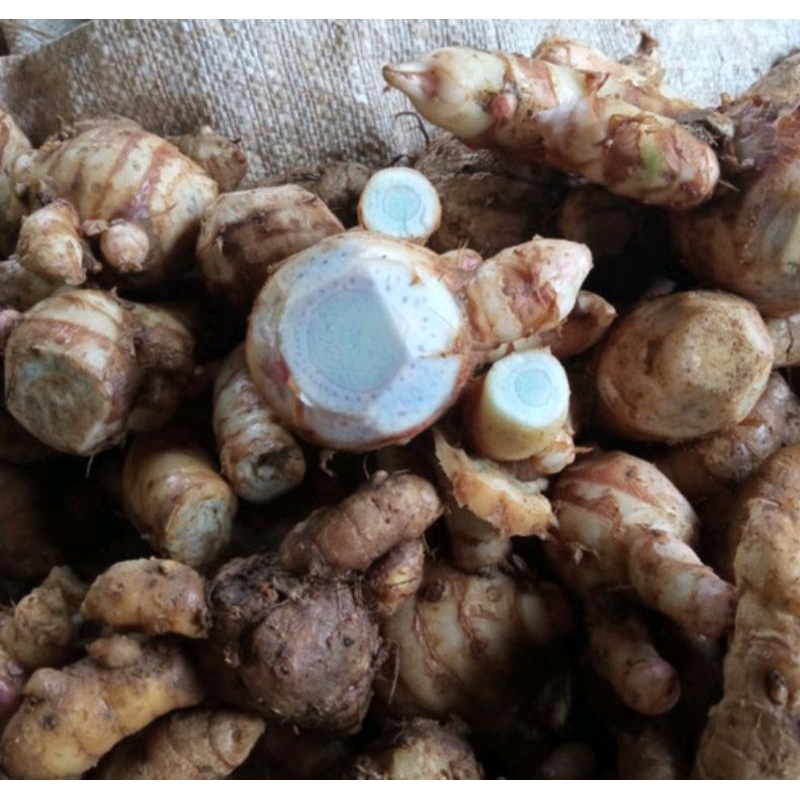 

(detox) temu ireng basah & kering