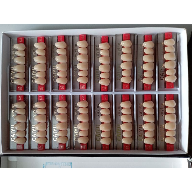 Gigi Palsu Depan Atas Caiyu Dental 1 box/dus Isi 12 papan/strip
