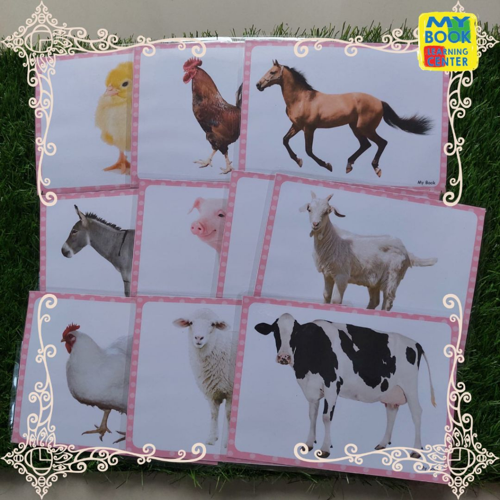 

Kartu Mainan Edukasi Anak // Flashcards SIZE JUMBO Tema Hewan Ternak // Farm Animals 3 Bahasa untuk anak umur 1-6 tahun