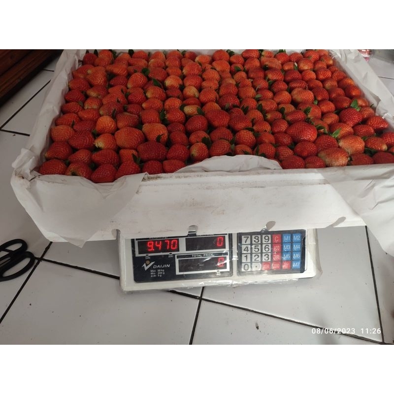 

STRAWBERRY 10KG