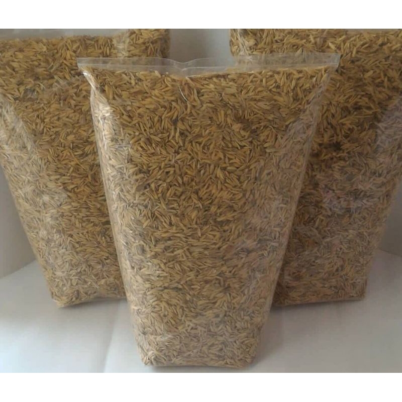 sekam padi sekam kulit padi media tanam