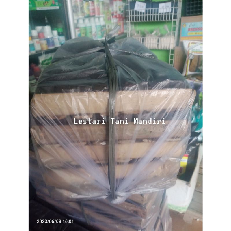 Media  Semai Siap Pakai Untuk Sayuran (terong, cabai, dll) (Isi 5 Nampan)