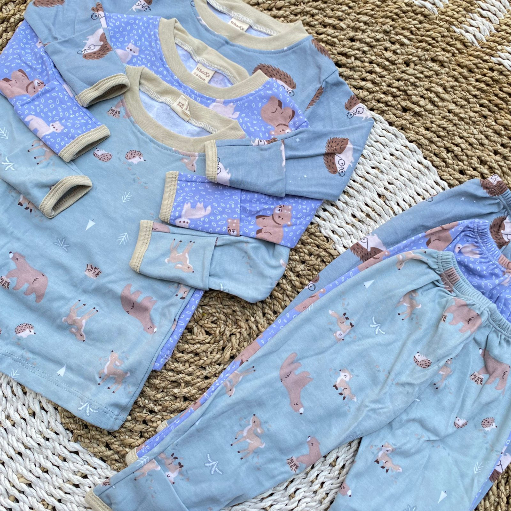 3 PCS baju celana bayi lengan panjang baju bayi premium motif printing DNW BABY