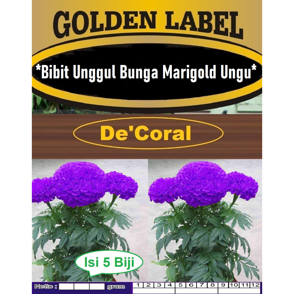 Bibit Unggul Bunga Marigold Ungu | Biji Benih Bunga Marigold Ungu