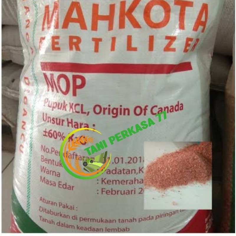 KCL MAHKOTA MOP 1 KG