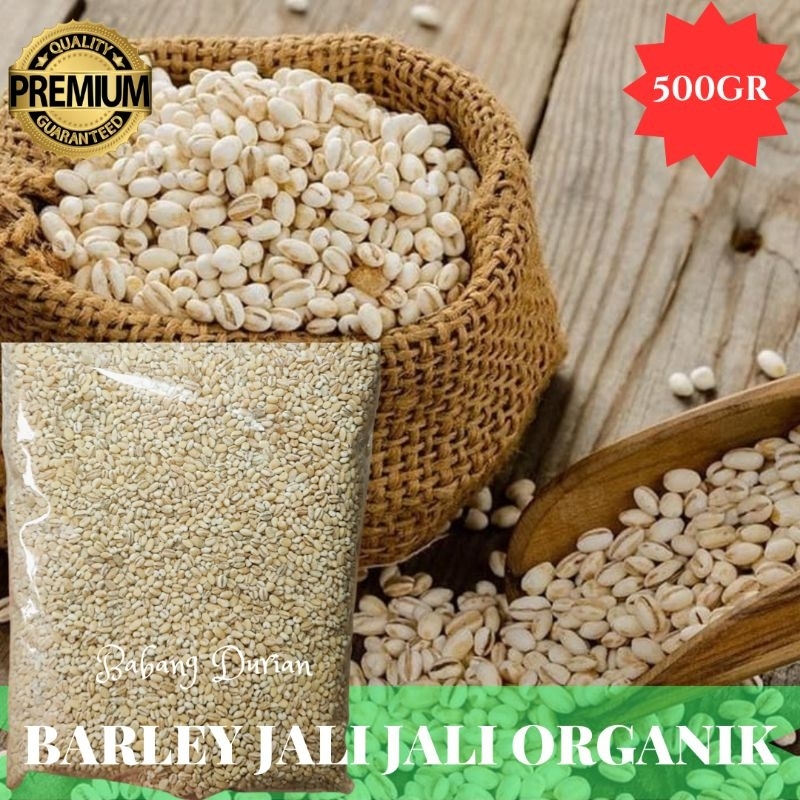 

BARLEY JALI JALI ORGANIK 500GR BERKUALITAS BERNUTRISI DAN BERVITAMIN TINGGI/JALI JALI 500GR/BARLEY ORGANIK