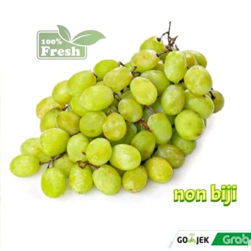 

BUAH ANGGUR HIJAU SEGAR 500 GRAM SEEDLESS / GRAPE GREEN FRESH PREMIUM