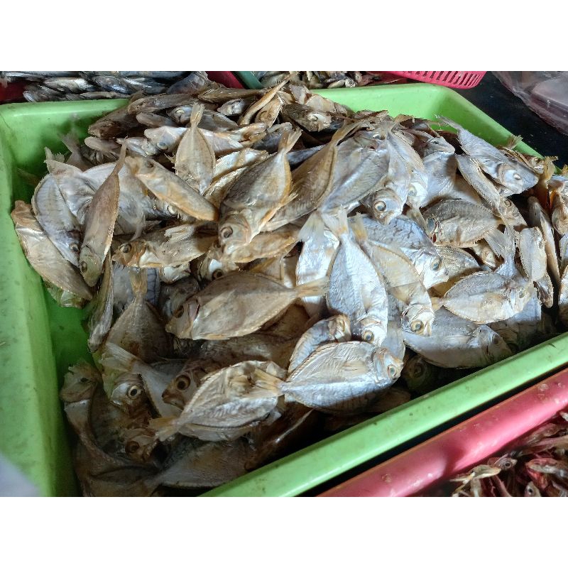 

Ikan Asin Dodok Kualitas Premium