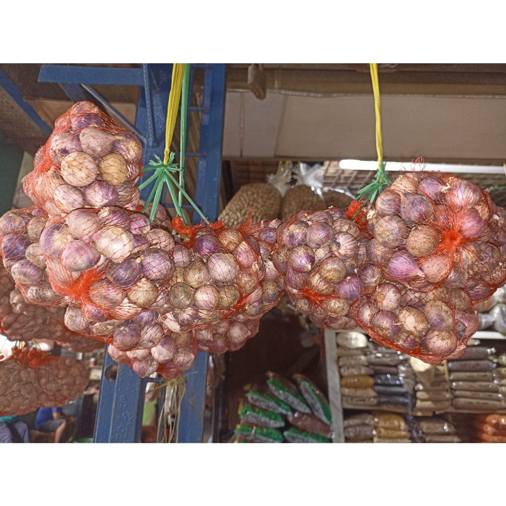 

BAWANG PUTIH TUNGGAL BESAR