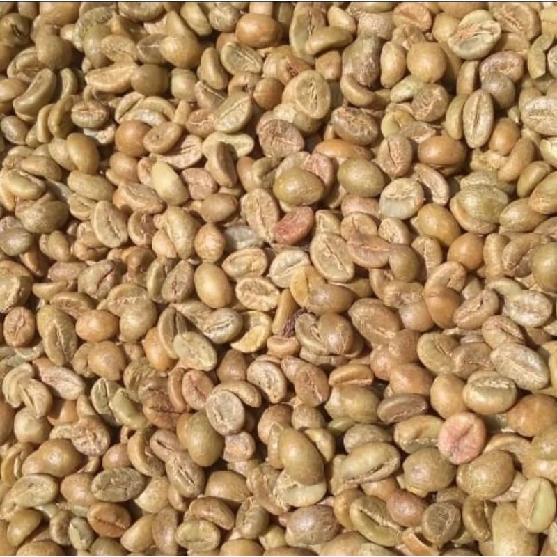 

kopi green Bean robusta bourboun natural proses 1000gram