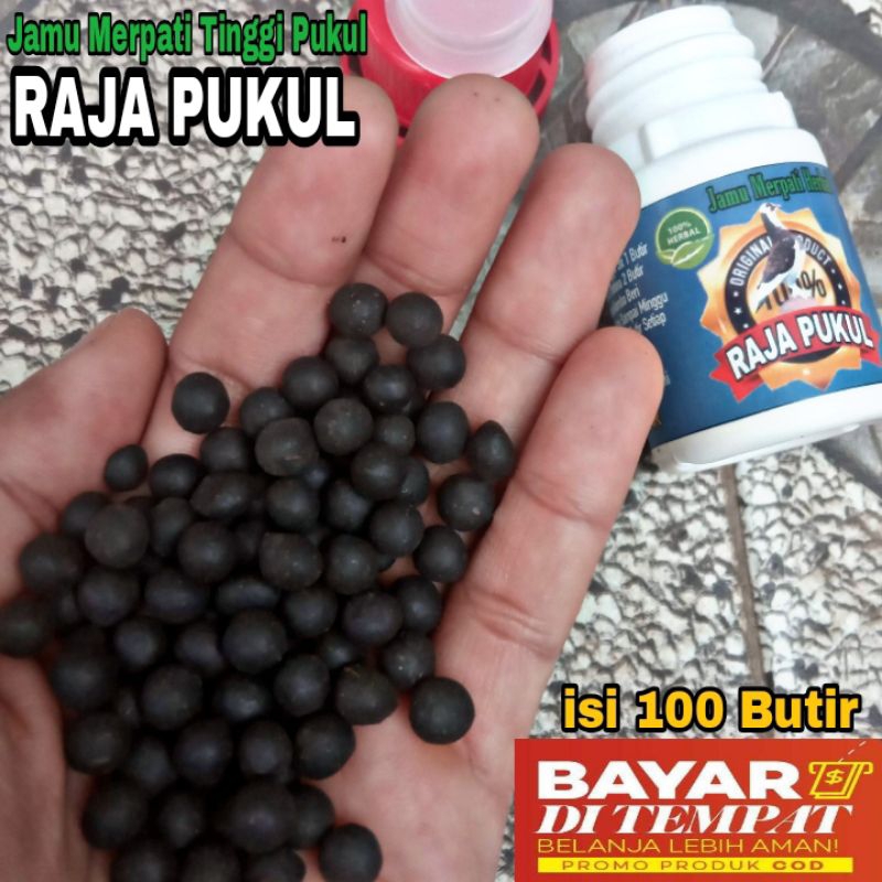 JAMU MERPATI RAJA PUKUL ISI 100 BUTIR pil sarang walet ferfect power jamu ginseng teki giring keket 