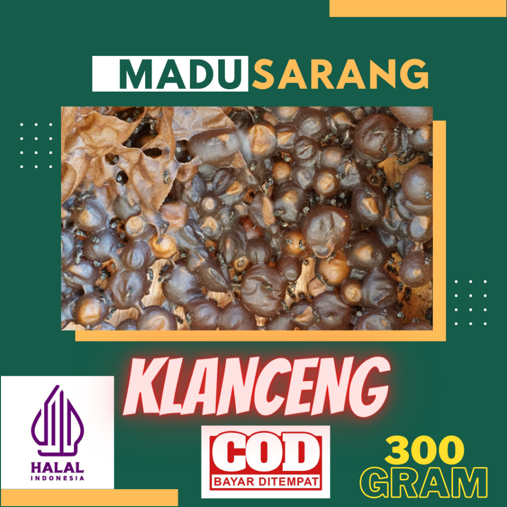 

Sarang Madu Klanceng - Sarang Madu Trigona - Sarang Madu Kelulut