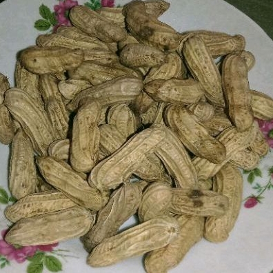 

Kacang Kulit mentah 1kg
