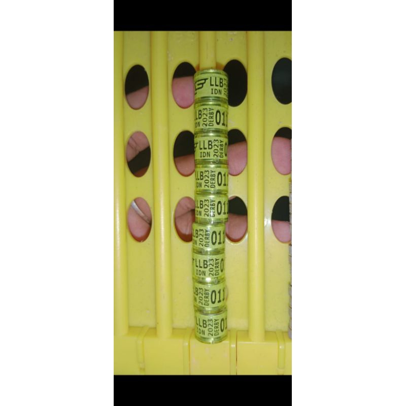 RING LLB 2023 DERBY MERPATI POS INDONESIA