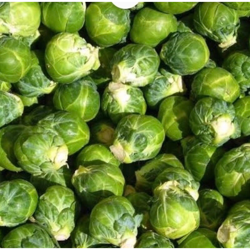 

Brussel Sprout Sayur Kol Mini 250 grm / Pack