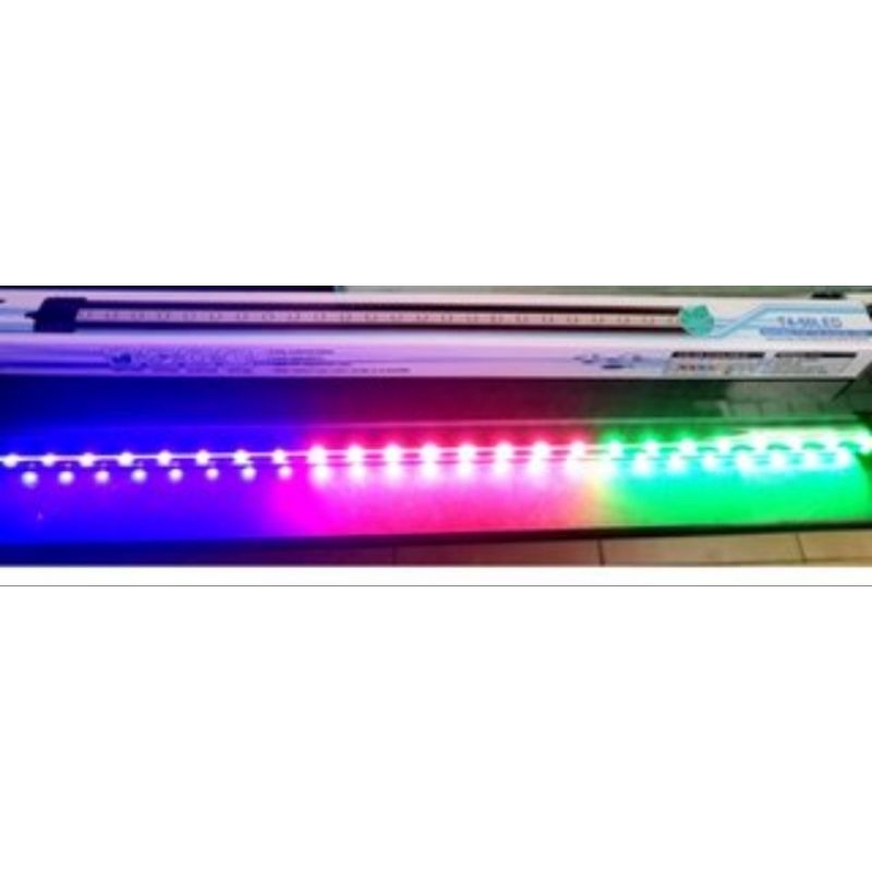 LAMPU CELUP AQUARIUM ROSSTON 60CM RGB BIRU PUTIH PUTIH