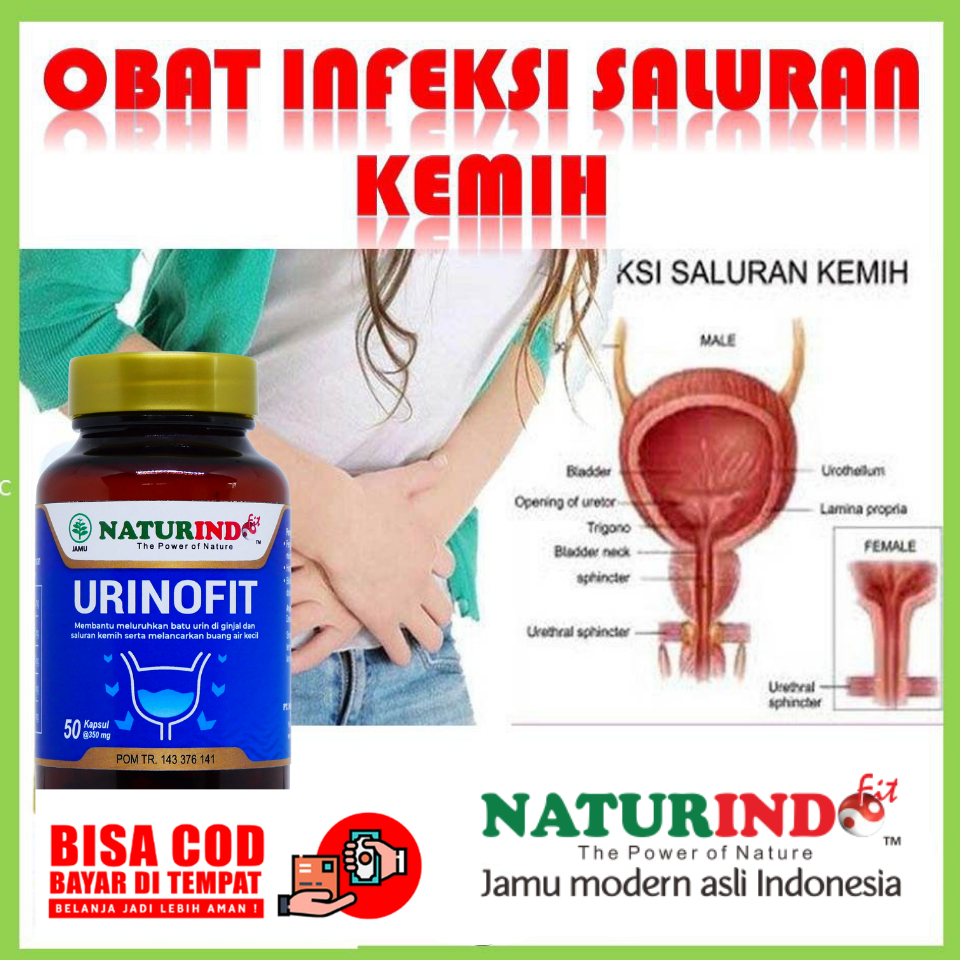 Obat Infeksi Saluran Kemih Infeksi Ginjal Iritasi Ginjal Sakit Ginjal Batu Ginjal Terampuh Terlaris
