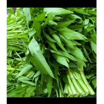 

sayuran kangkung 5 ikat 950g