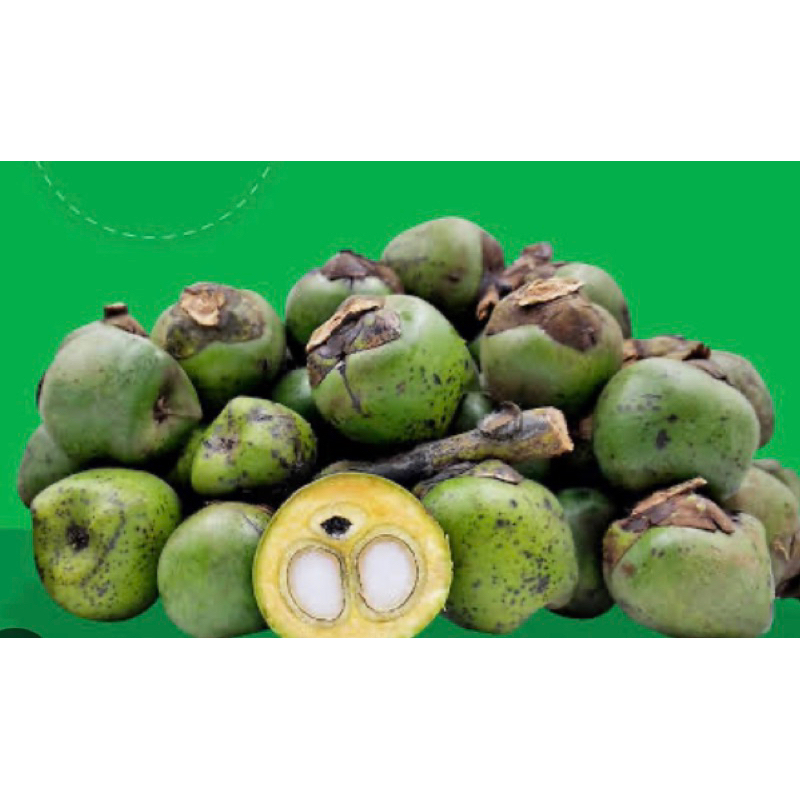 

Buah aren segar buah aren muda utuh 1 kg-az