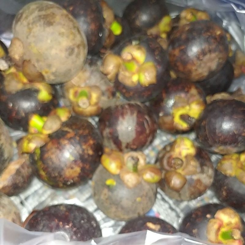 

Buah Manggis segar manis kilogram