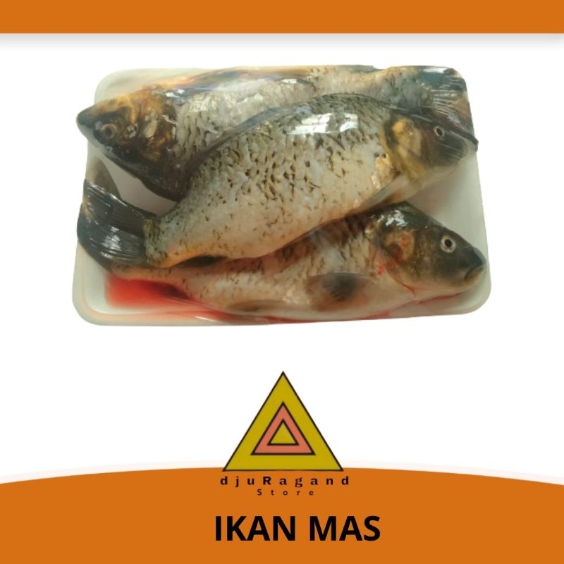 

Ikan mas segar 1 kg