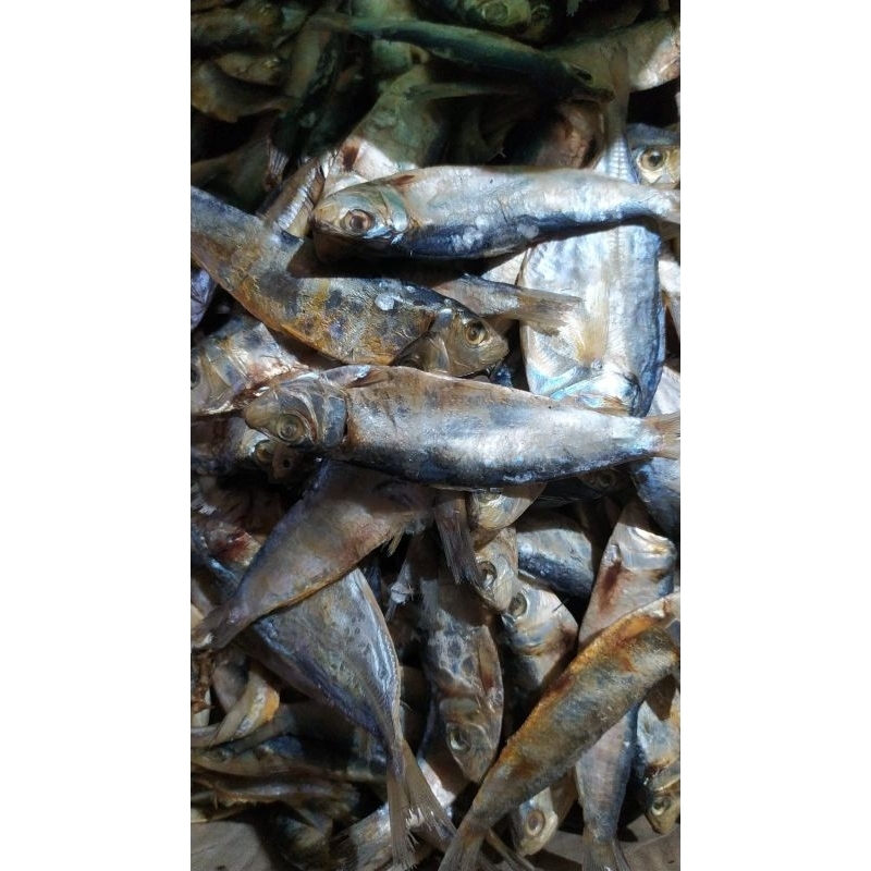 

Ikan Asin / Gereh /Gerih Tanjan Kualitas Superr