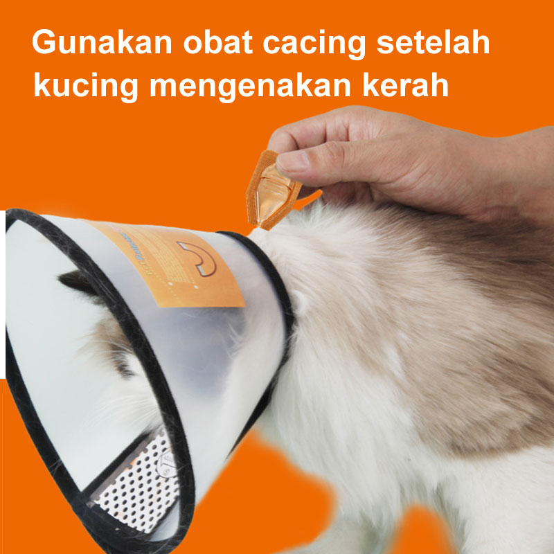 Obat Cacing Kucing Anjing Tetes Anthelmintik in Vitro Perawatan Kesehatan Hewan Anti Kutu Ticks Membunuh Telur Tungau Kudis