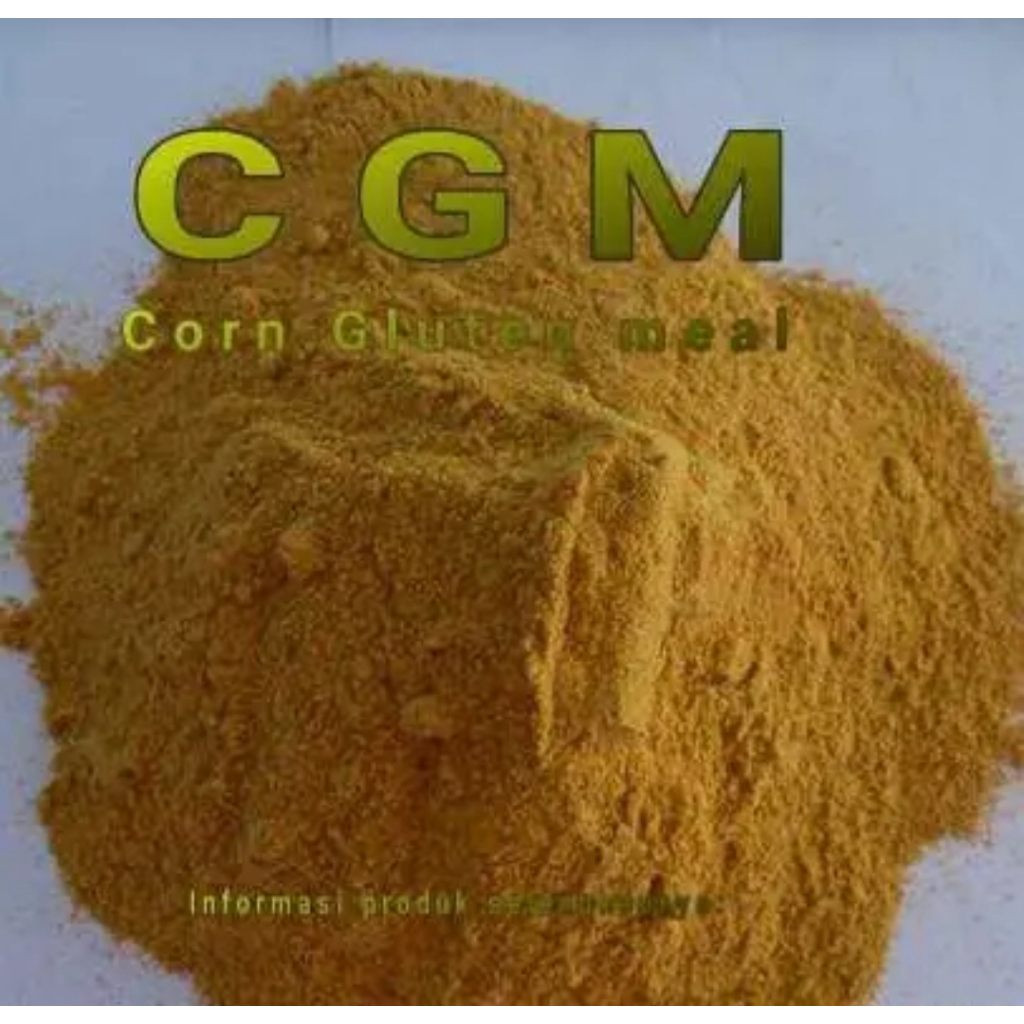 CGM (corn gluten meal) pakan ternak Protein tinggi