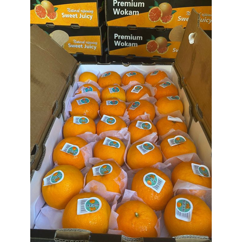 

Jeruk Wokam Premium Dus