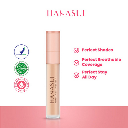 HANASUI Perfect Cover Concealer